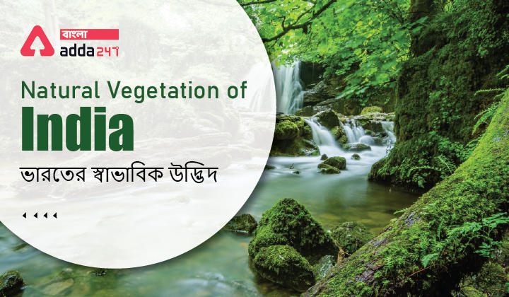 Natural Vegetation of India | ভারতের স্বাভাবিক উদ্ভিদ