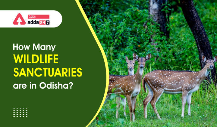 How many Wildlife Sanctuaries are in Odisha