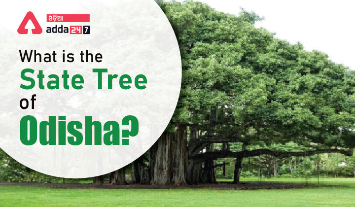 What is the State Tree of Odisha