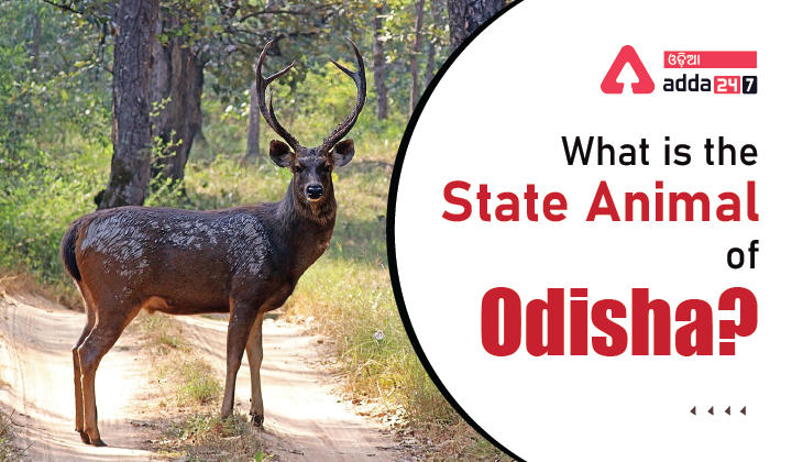 What is the State Animal of Odisha