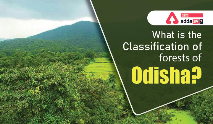What is the Classification of forests of Odisha