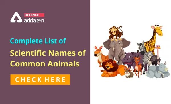 Scientific Names of Animals, Complete List of Scientific Names of Common Animals