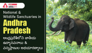 National Parks & Wildlife Sanctuaries in Andhra Pradesh-01