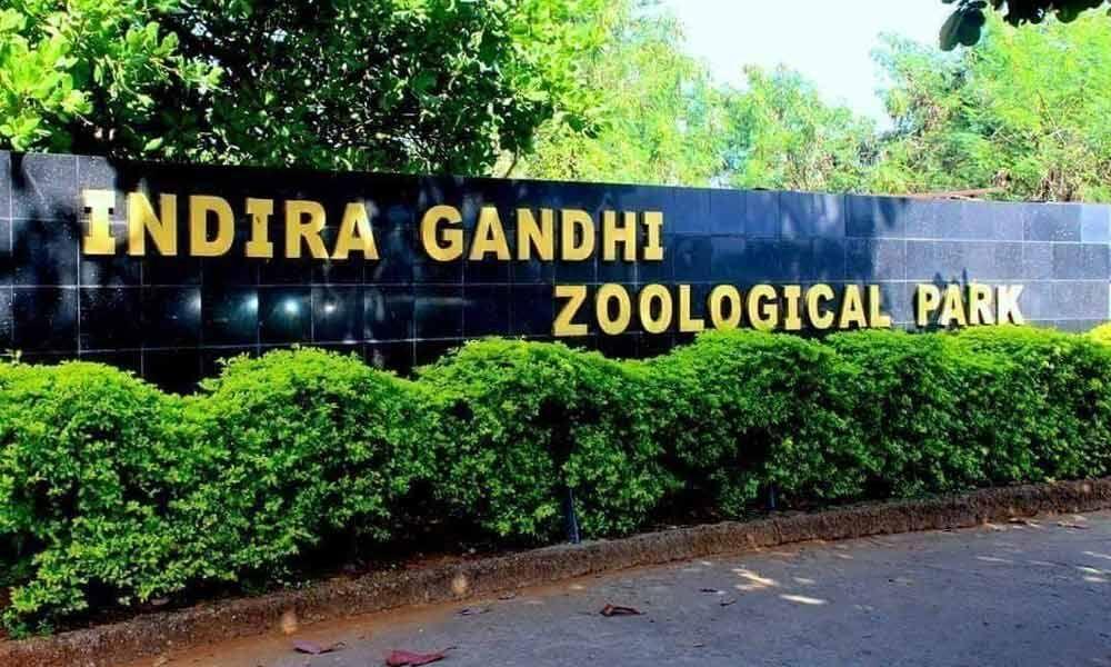 Biggest Zoo in India 2024, List of Top-10_60.1