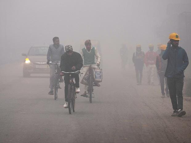 Cold wave, dense fog puts North India on red alert: What you should know | Business Standard News