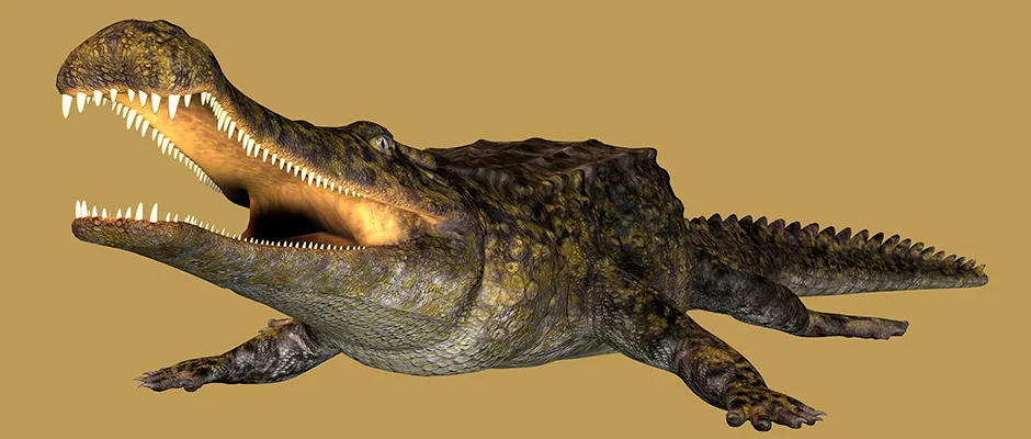 Sarcosuchus imperator: The 'super croc' that could have hunted dinosaurs -  BBC Science Focus Magazine