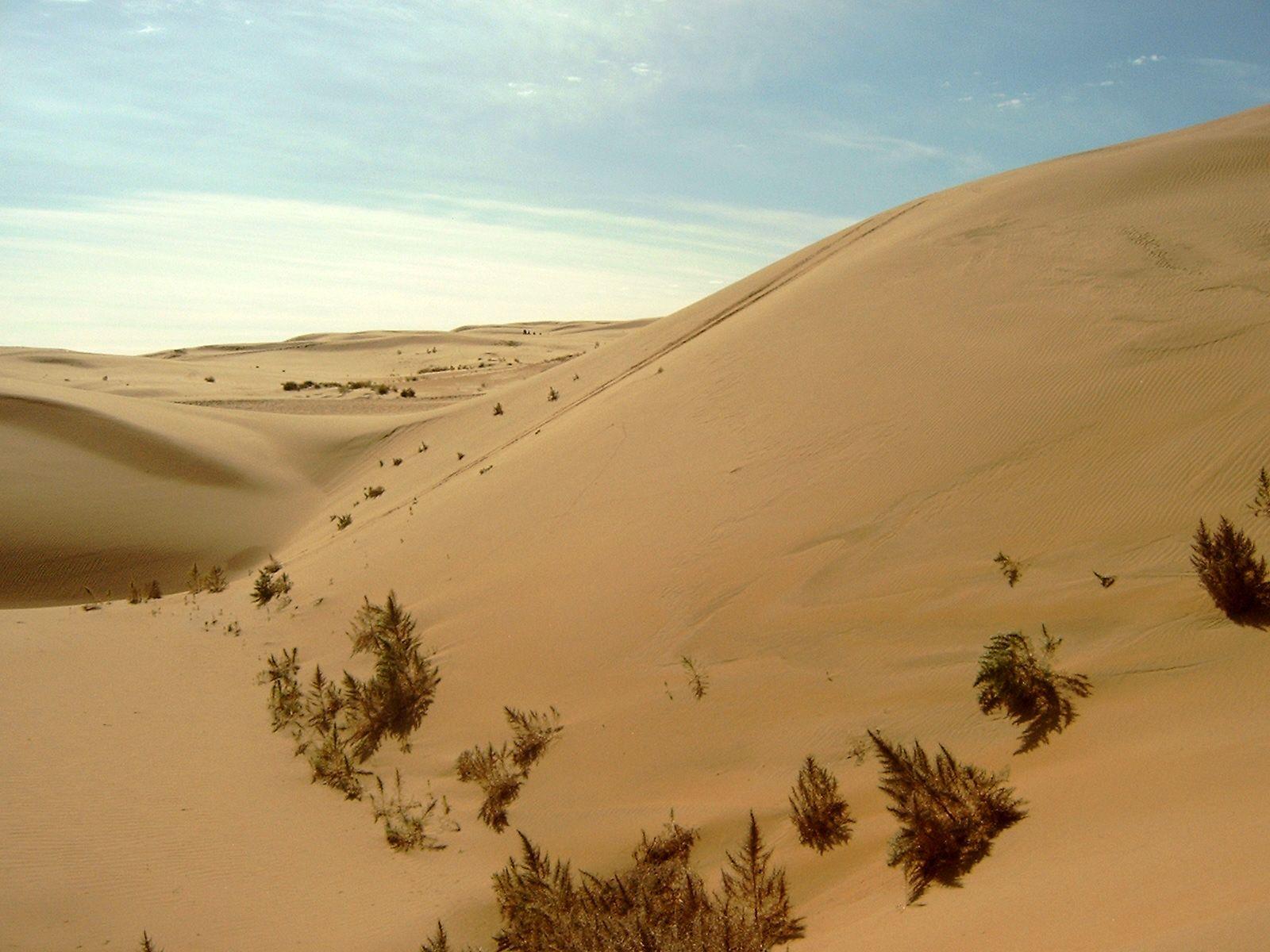 Largest Desert in the World, List of Top 10_90.1