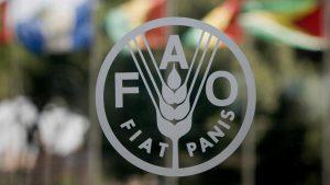 FAO परिषद भारत के प्रस्तावों को मंजूरी दी |_20.1