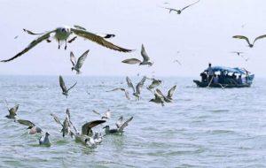 Odisha approves conservation plan of lakes "Chilika and Ansupa"_50.1