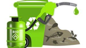 World Biofuel Day: 10th August_50.1