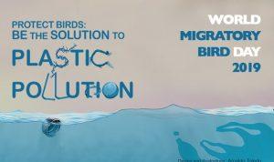 World Migratory Bird Day: 12 October_50.1