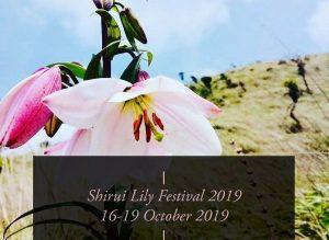 Shirui Lily Festival inaugurated in Manipur_50.1