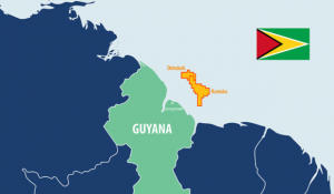 Guyana to be fastest growing country in the world next year at 86%_50.1