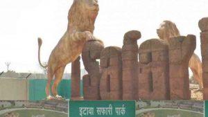 Etawah Lion Safari inaugurated in Uttar Pradesh_50.1