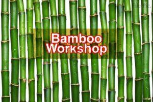 Workshop on Bamboo cultivation to be held in Jammu_50.1
