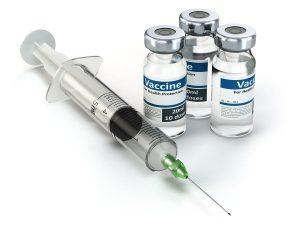 GoI unveils new vaccine to control classical swine fever_50.1