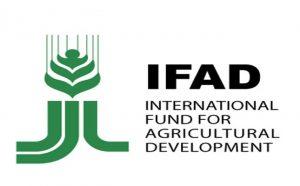 IFAD Governing Council 2020 held in Rome, Italy_50.1