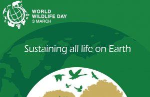 World Wildlife Day observed globally on 3rd March_60.1