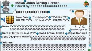 Validity extension of expired Driving Licences and Vehicle Registration_60.1