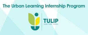 GoI launches "The Urban Learning Internship Program (TULIP)"_4.1