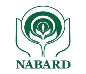 NABARD organised 'Digital Choupal' to mark its 39th foundation day_60.1