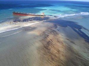 Mauritius declares a "state of environmental emergency"_50.1
