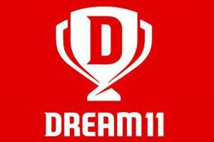 Dream 11 wins title sponsorship rights of IPL 2020_50.1