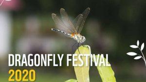 Kerala's 1st-ever Dragonfly Festival_60.1