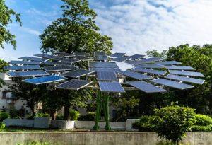 CSIR-CMERI develops World's Largest Solar Tree_50.1