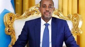 Mohamed Hussein Roble appointed as new Prime Minister of Somalia_50.1