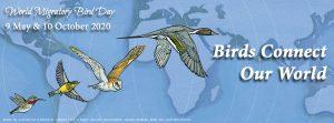 World Migratory Bird Day: 10 October_50.1