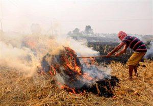 SC appoints former judge to monitor steps to prevent stubble burning_50.1