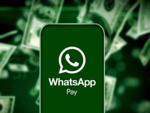 WhatsApp's payments service gets NPCI nod_50.1