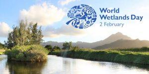 World Wetlands Day: 02 February_4.1