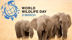 World Wildlife Day observed globally on 3rd March_4.1