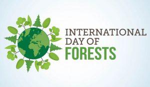 International Day of Forests: 21 March_4.1