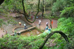 Maharashtra: Amboli named as biodiversity heritage site_4.1