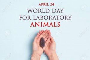 World Day for Laboratory Animals : 24 April_4.1