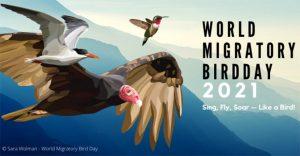 World Migratory Bird Day: 08 May_4.1