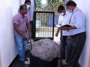 World's largest star sapphire cluster found in a Sri Lankan backyard_4.1