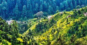 India's 1st grass conservatory inaugurated in Ranikhet, Uttarakhand_4.1