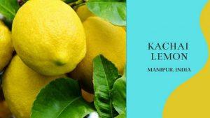 Kachai Lemon Festival: 18th Kachai Lemon Festival begins in Manipur_4.1