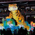 Winter Olympics host China welcomes Year of Tiger