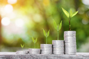 DBS Bank India launches Green Deposits programme_4.1