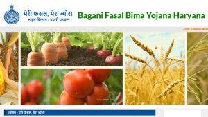 Mukhya Mantri Bagwani Bima Yojana: Haryana govt launched crop insurance portal of M M B B Yojana_4.1