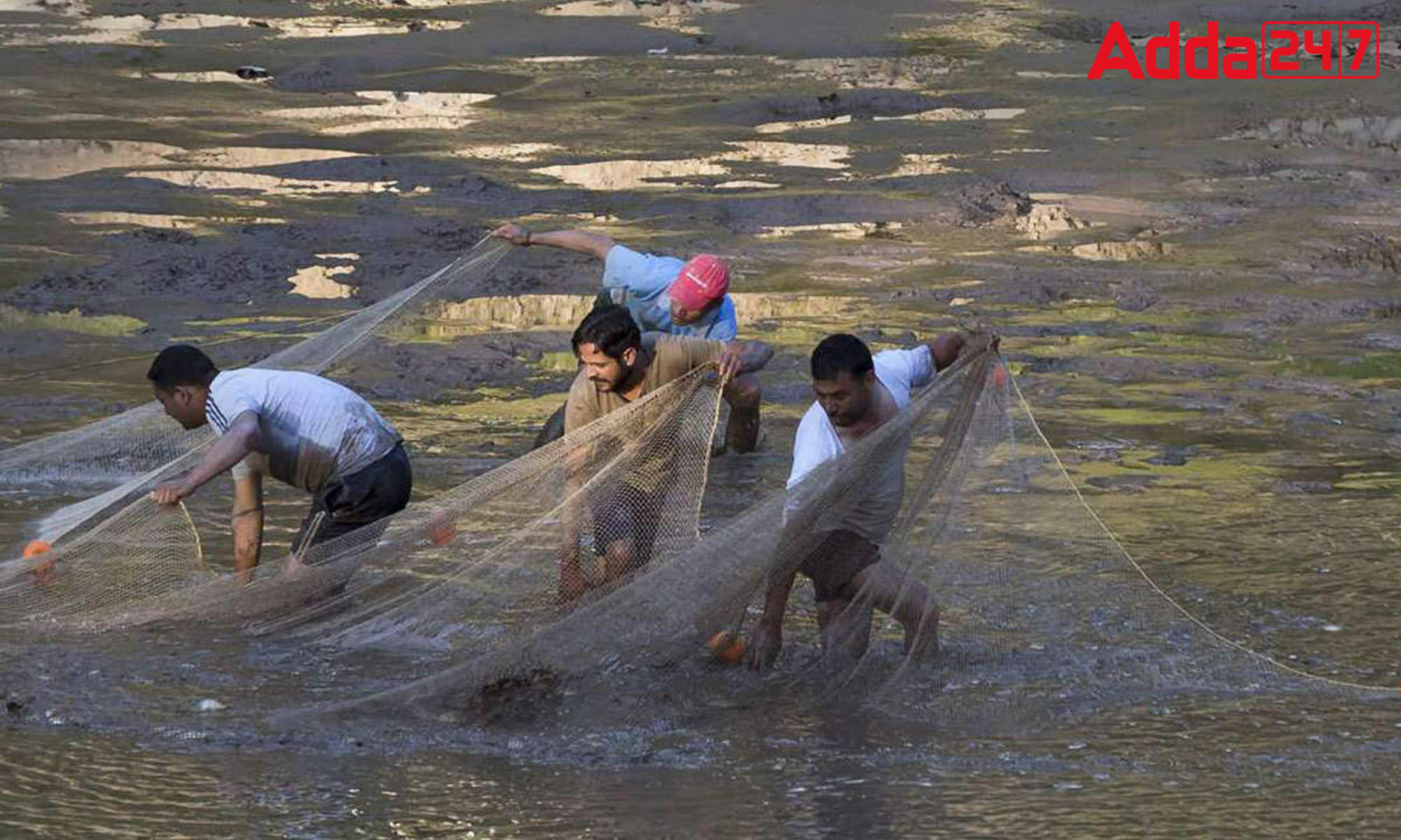 Matsya Setu App's Aqua Bazaar