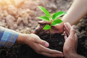 India celebrates 8th Soil Health Card Day on February 19_4.1