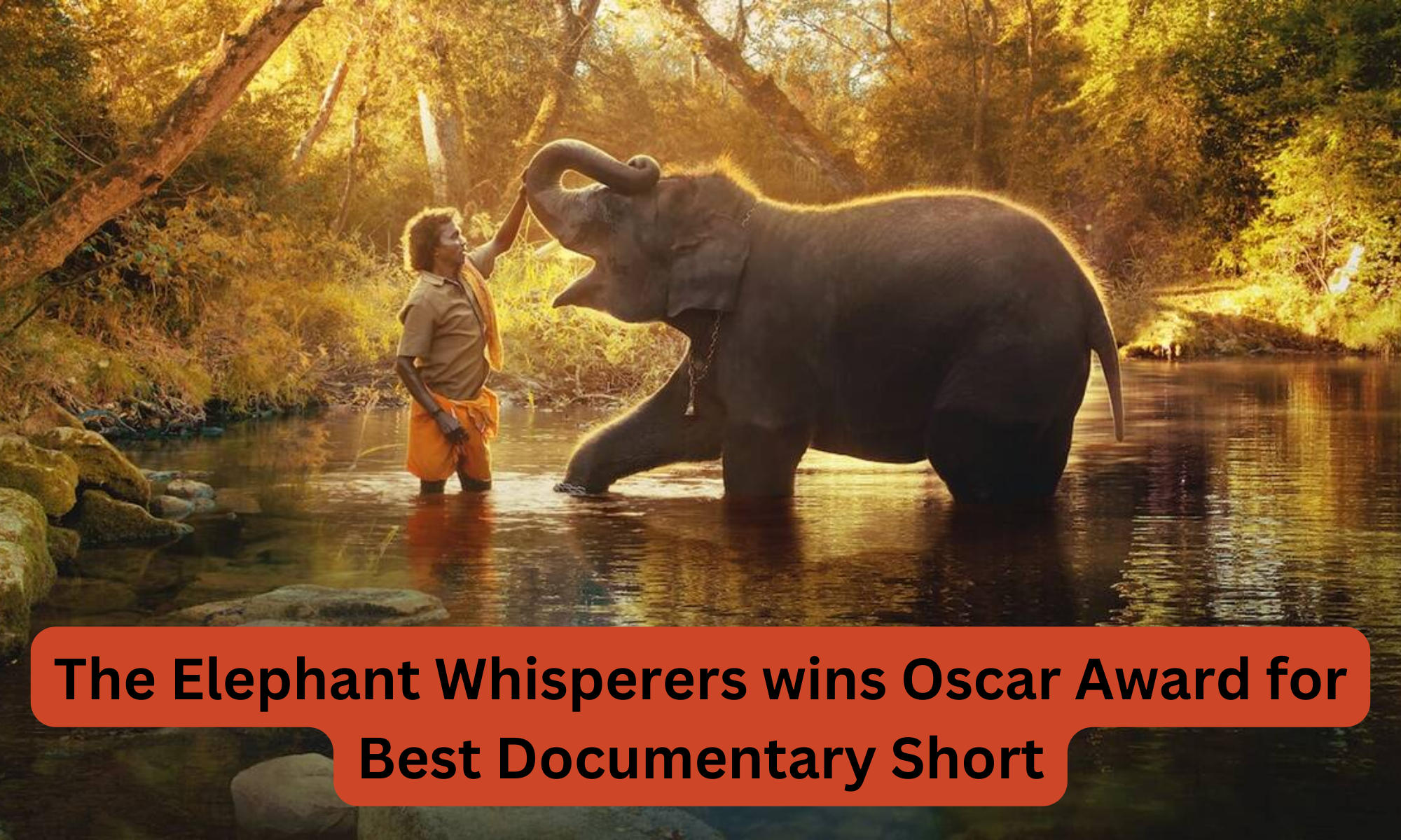 The Elephant Whisperers wins Oscar Award for Best Documentary Short