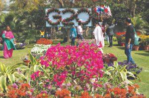 G20 flower festival begins in New Delhi_4.1