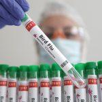 China records world's first human death from H3N8 bird flu